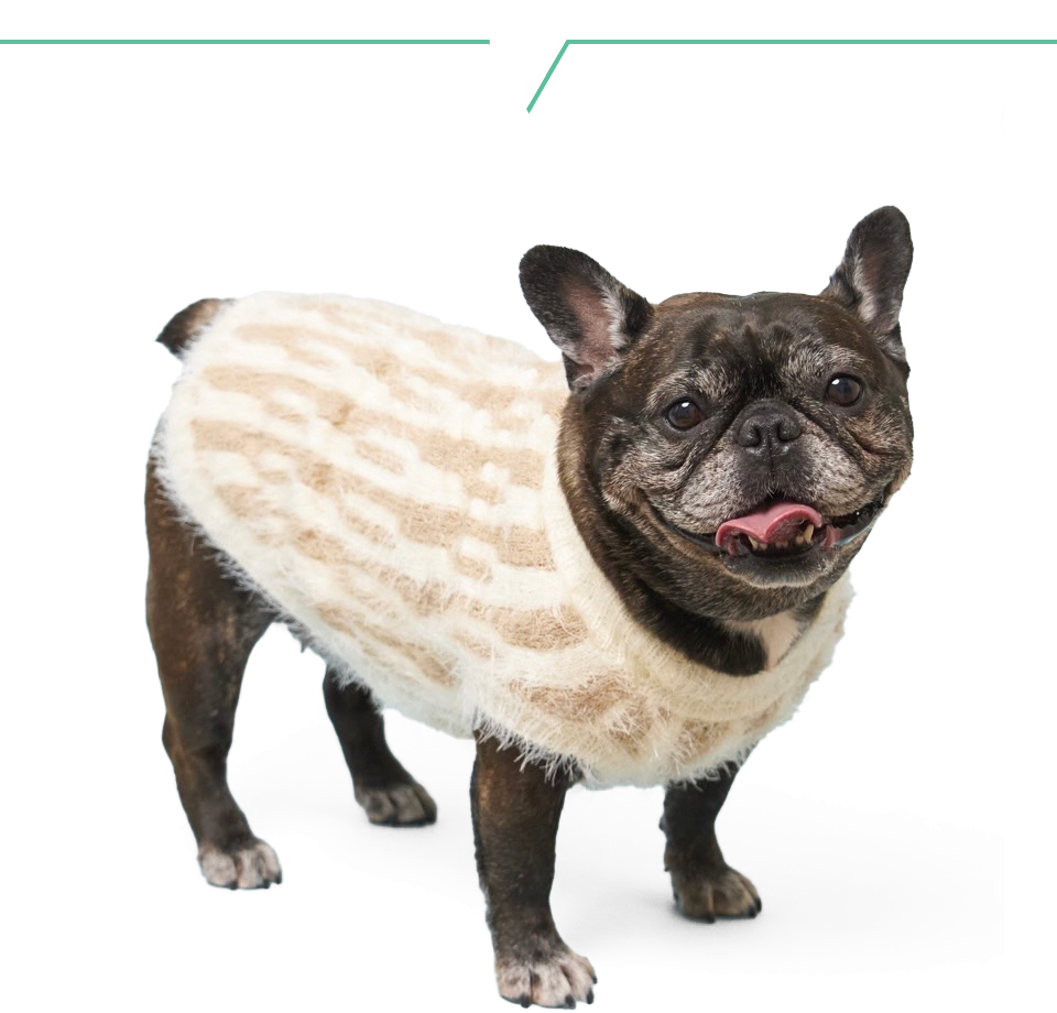 9/15(月祝)飛行船シアターにて開催「高尾奏音Birthdayparty2025