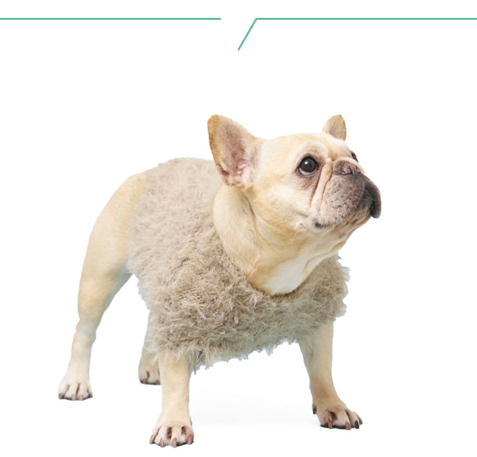 櫻井陽菜　高尾奏音　のんひな　バースデーイベント　缶バッジ　全部セット 高尾奏音♥櫻井陽菜 Birthdayparty2025 (@kanonhina_staff) / X